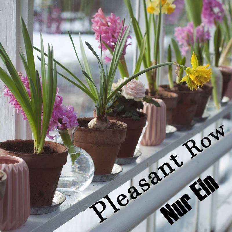 Pleasant Row