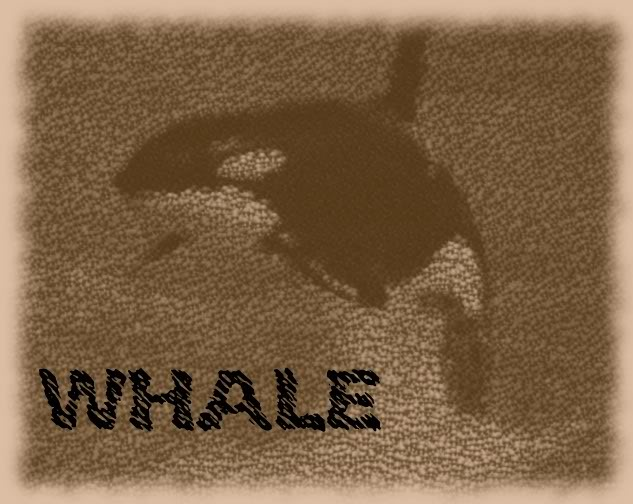 Whale