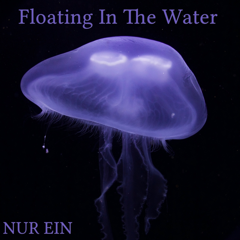 Floating in the Water